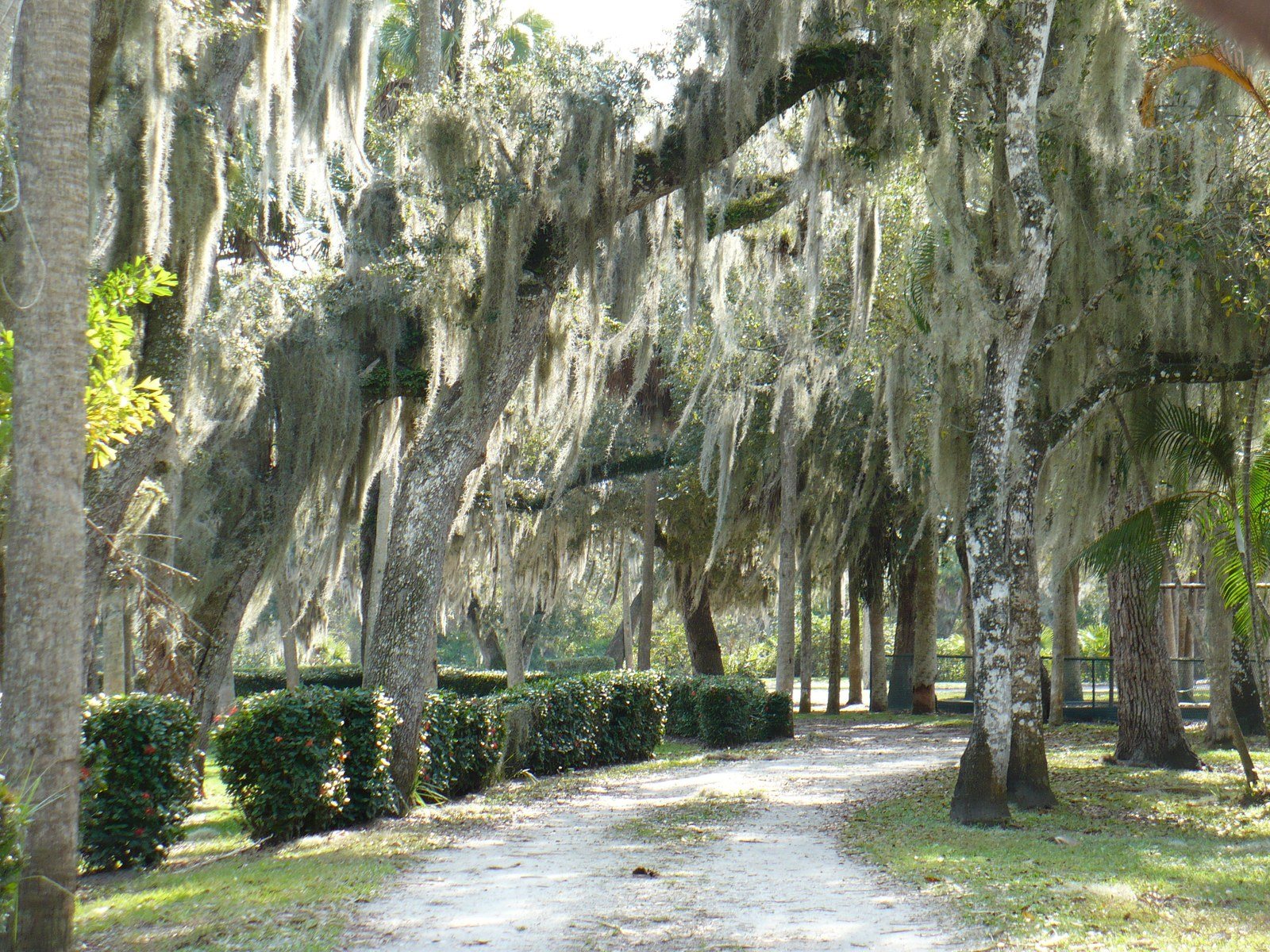 "Seminole Wind"