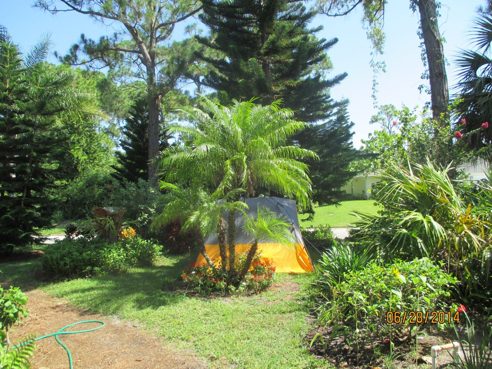 Tropical Assortment