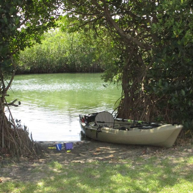 Kayaking