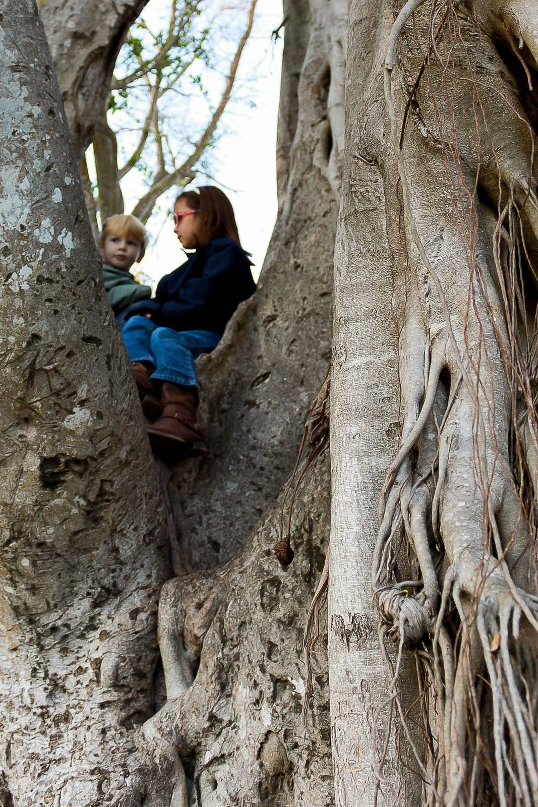 Sharing Secrets In The Banyan Tree