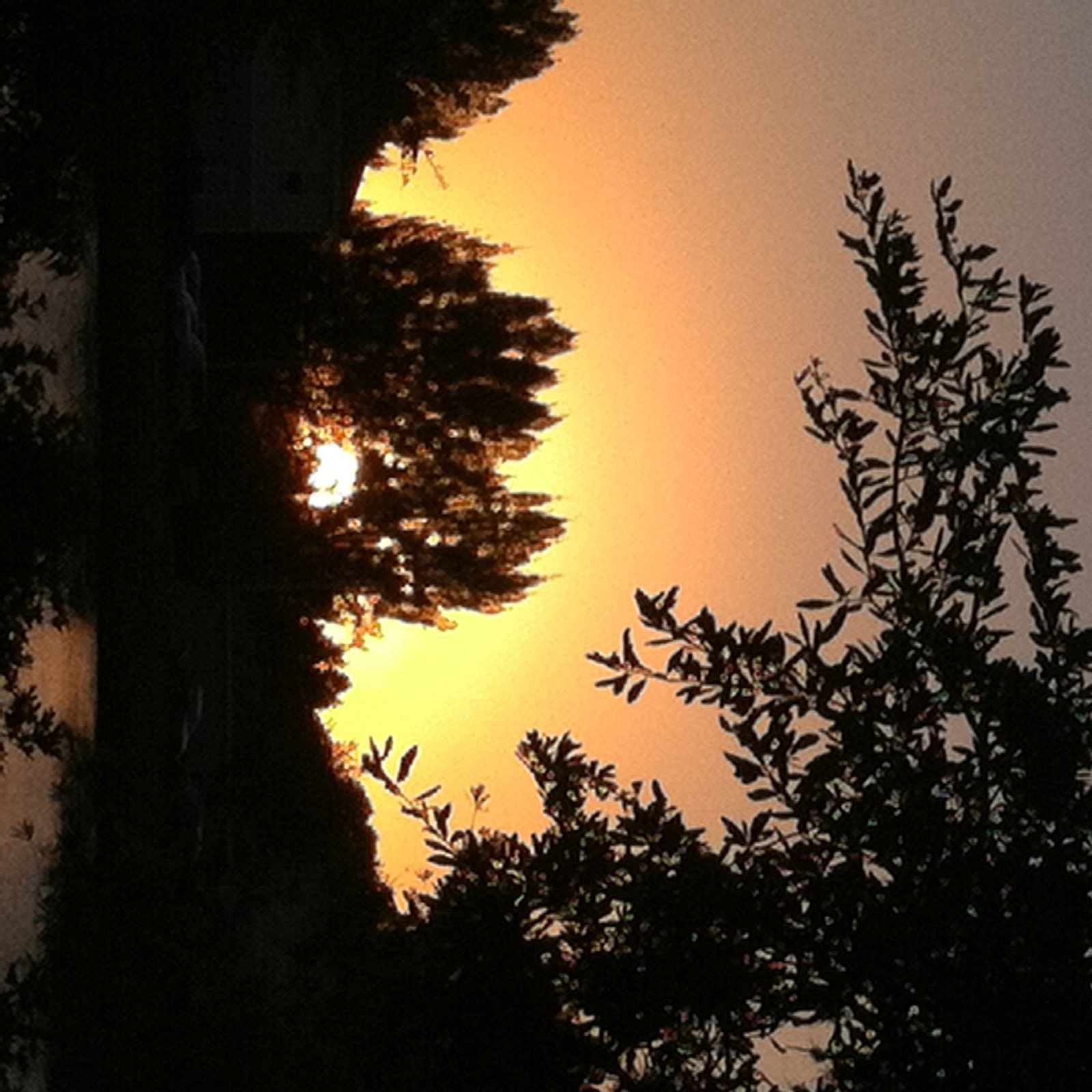 Rainbow Sunset