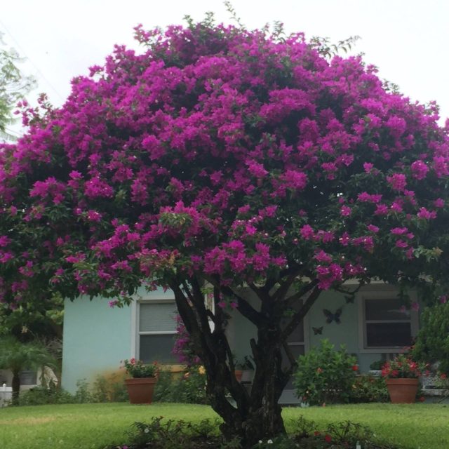 Oh, The Beauty That Surrounds Us!!