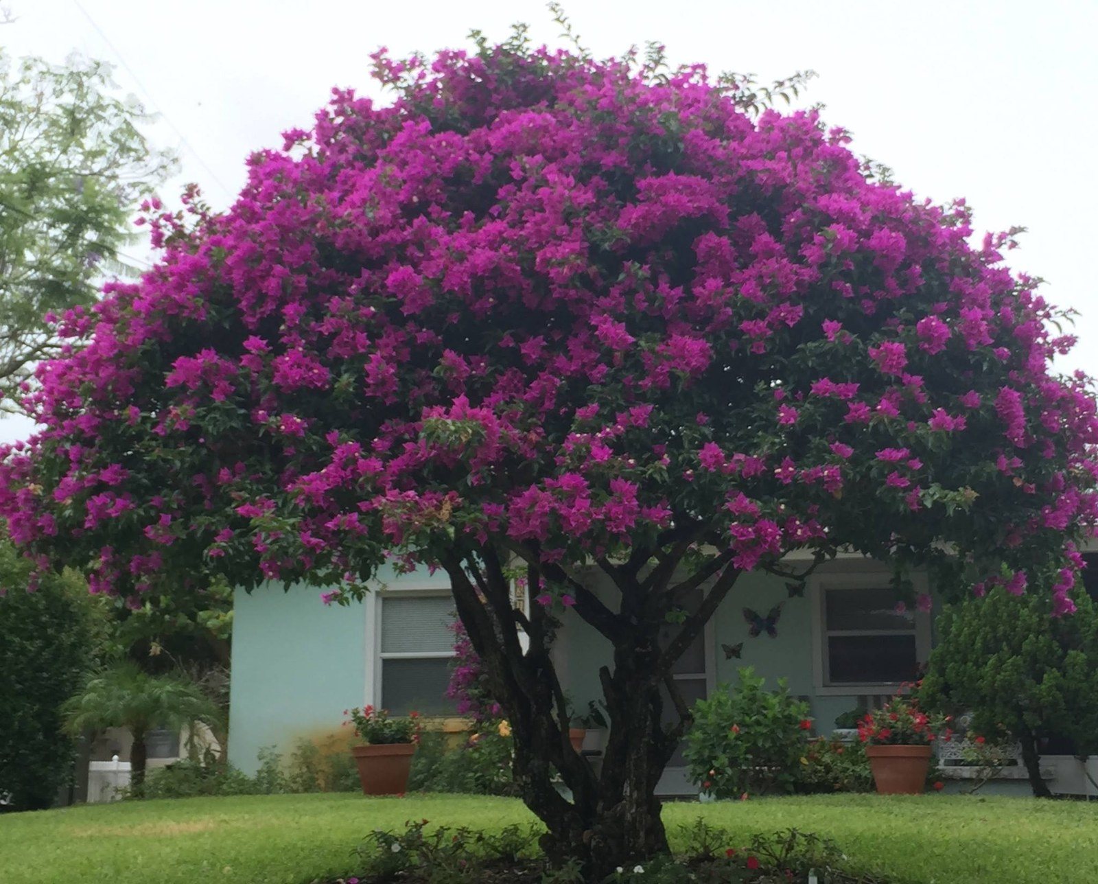 Oh, The Beauty That Surrounds Us!!