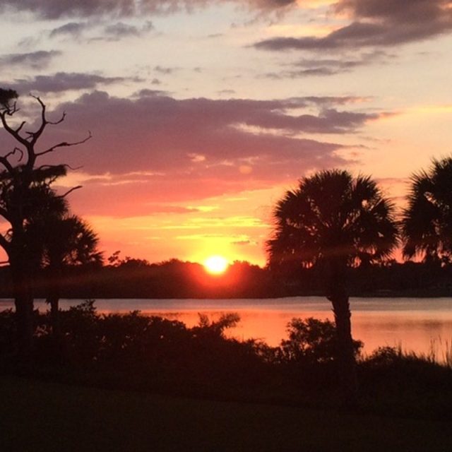 Roseland Sunset