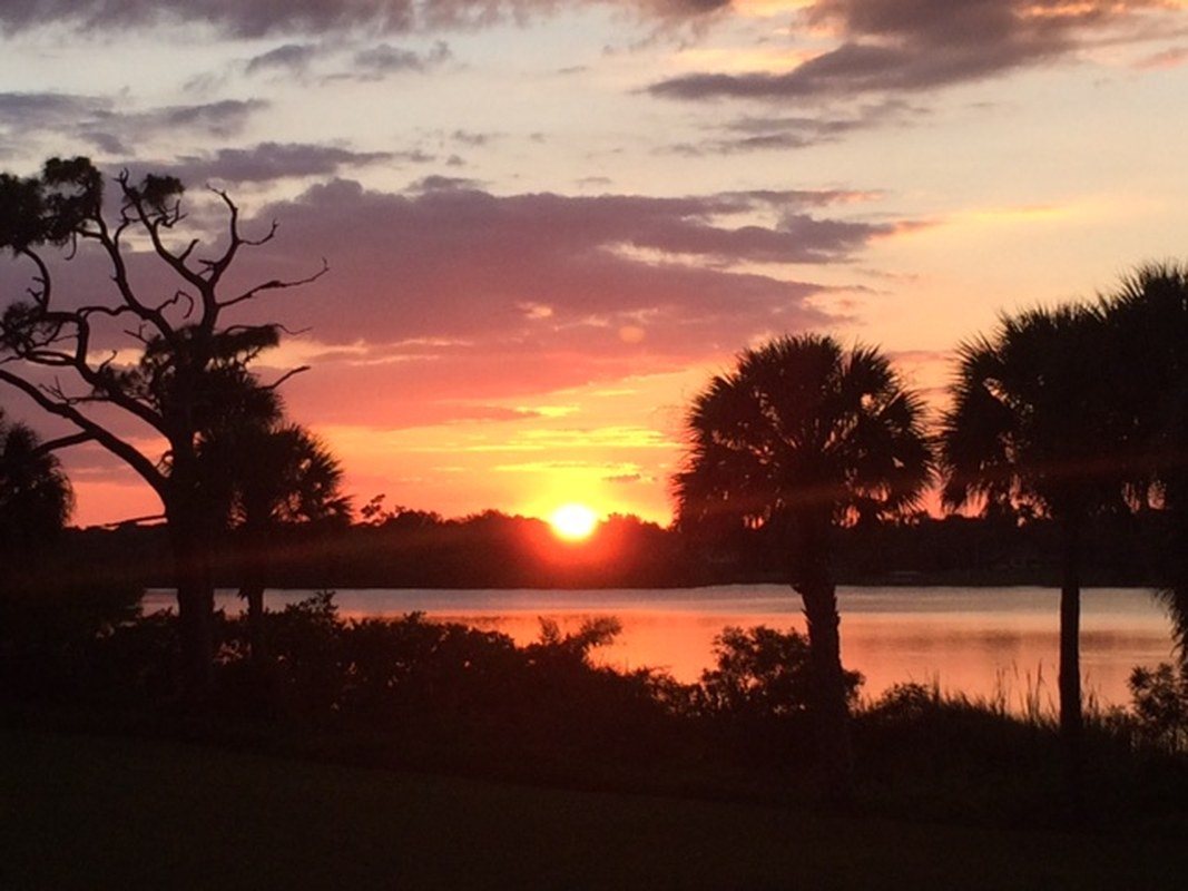Roseland Sunset