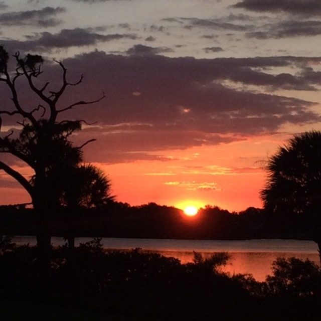Roseland Sunset