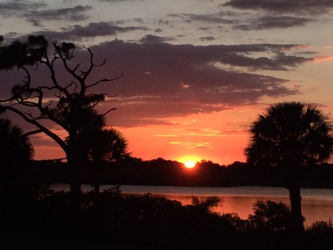 Roseland Sunset