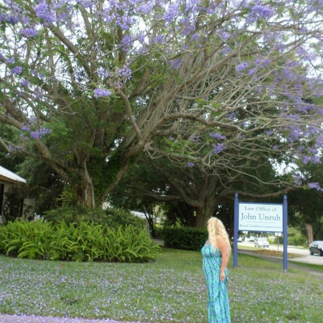 Down Town Vero