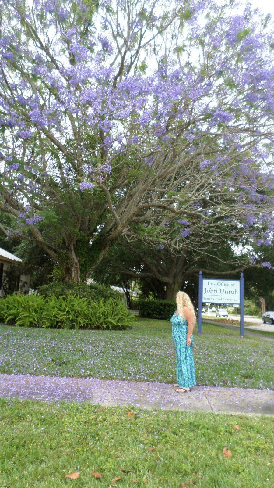 Down Town Vero