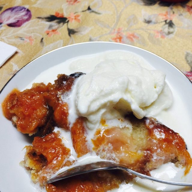 Fresh Out Of The Oven Peach Cobbler & Home Made Vanilla Ice Cream