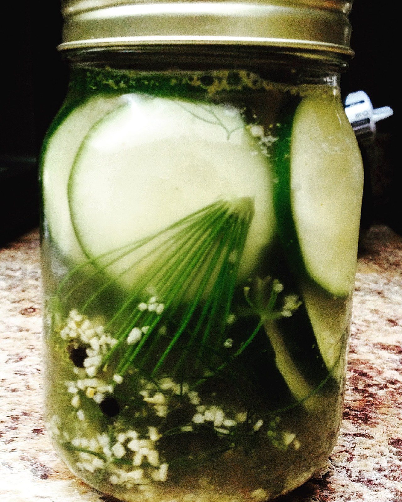 Dill And Garlic Pickled Zucchini Chips