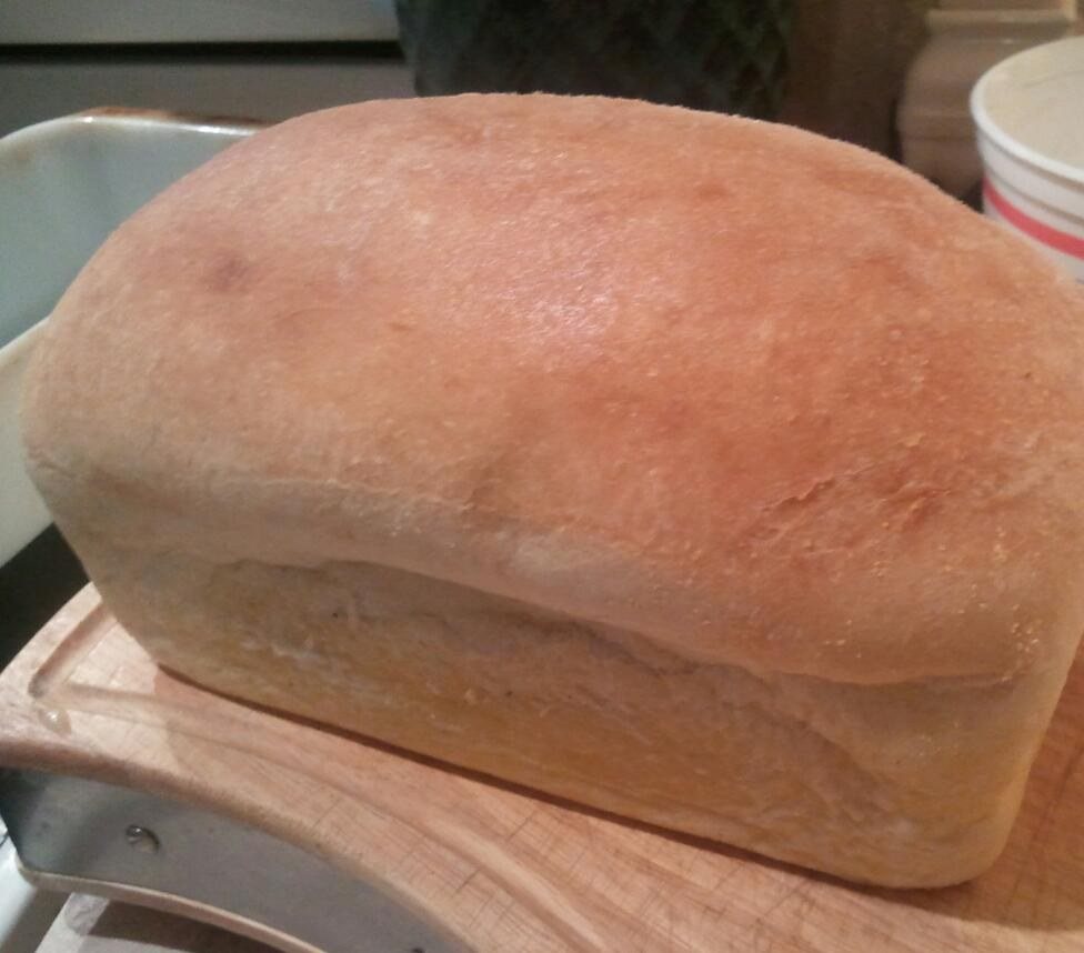 Just Loafing