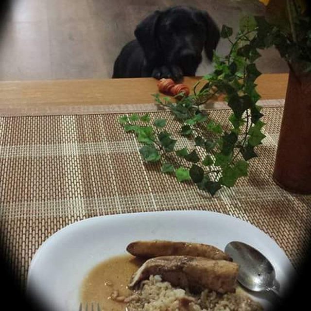Why Didn't You Make Me A Plate?