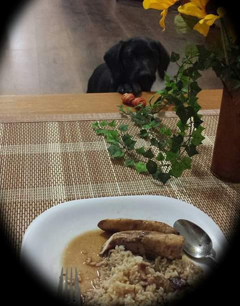 Why Didn't You Make Me A Plate?