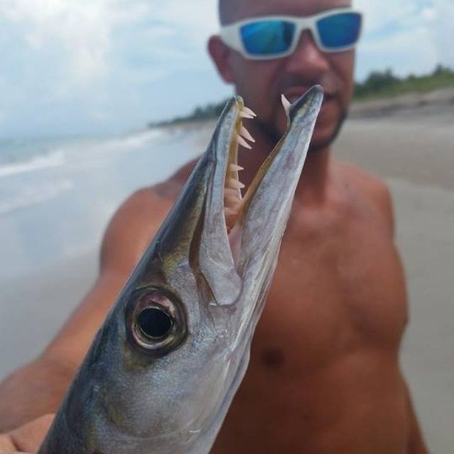 Oooo, Barracuda,