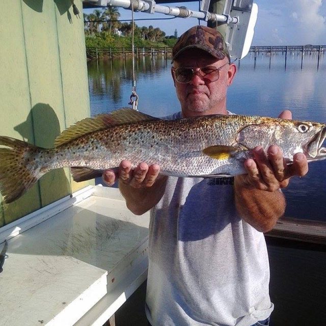 Trout On The River