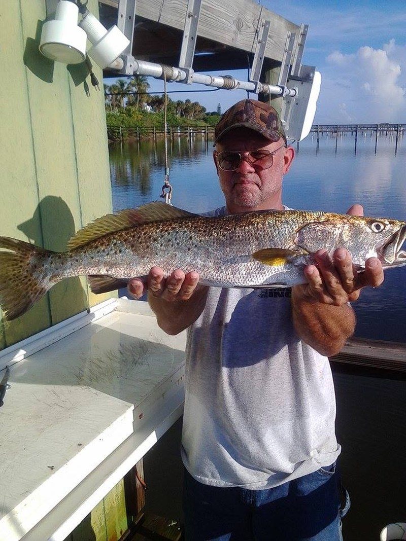 Trout On The River