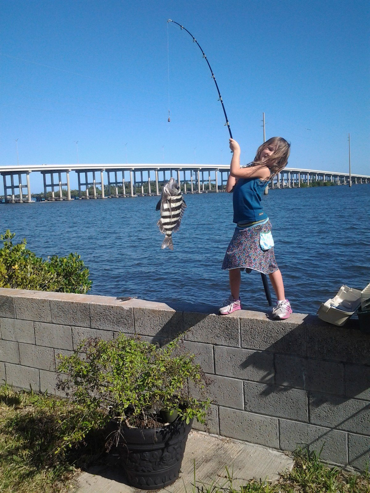 My Granddaughter Baits, Casts And Brings Home Dinner.