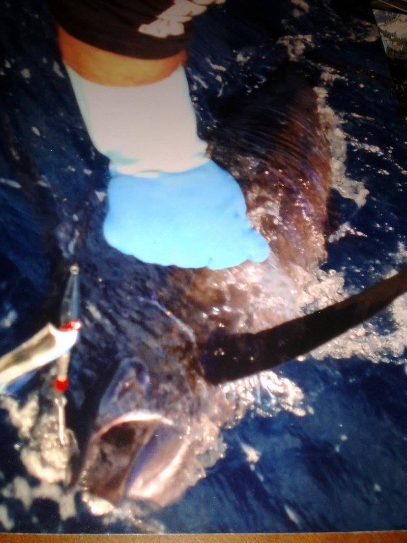 Marlin Off South Beachin The Fort