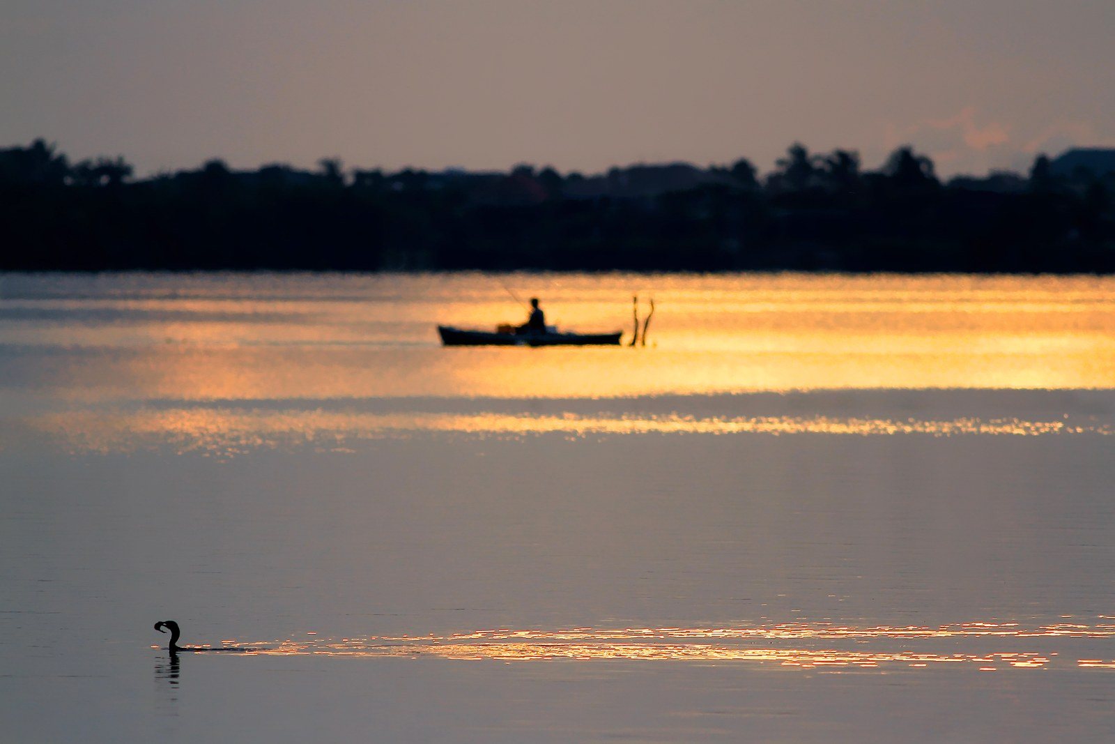 May The BEST Fisherman Win!