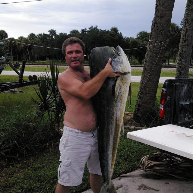 Big Bull Dolphin