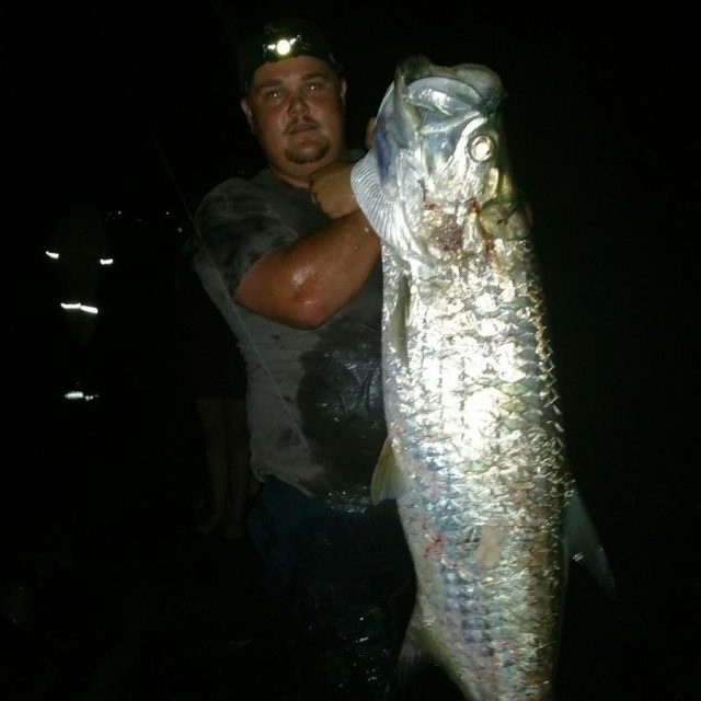 Tarpon Time!!!!