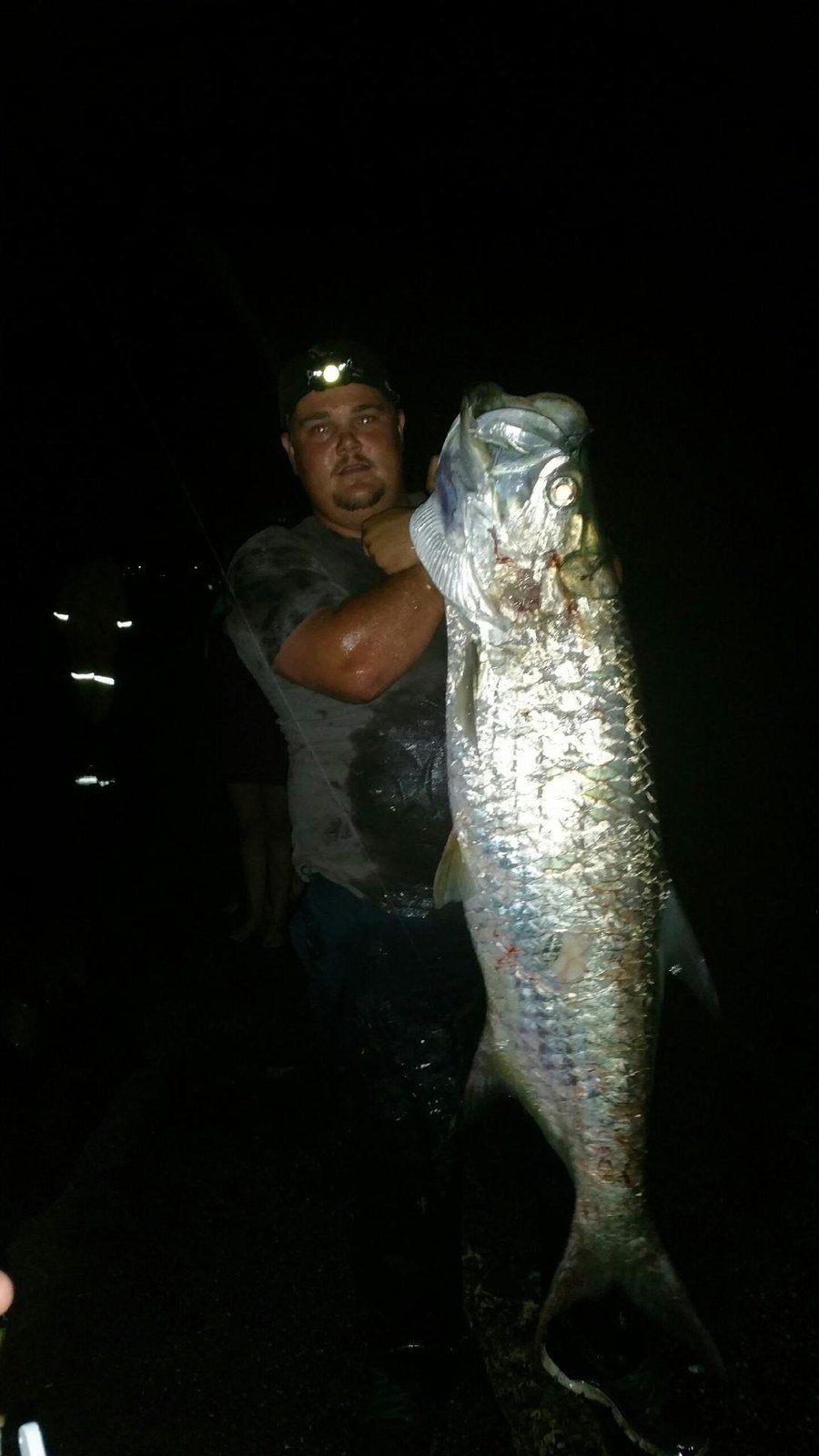 Tarpon Time!!!!