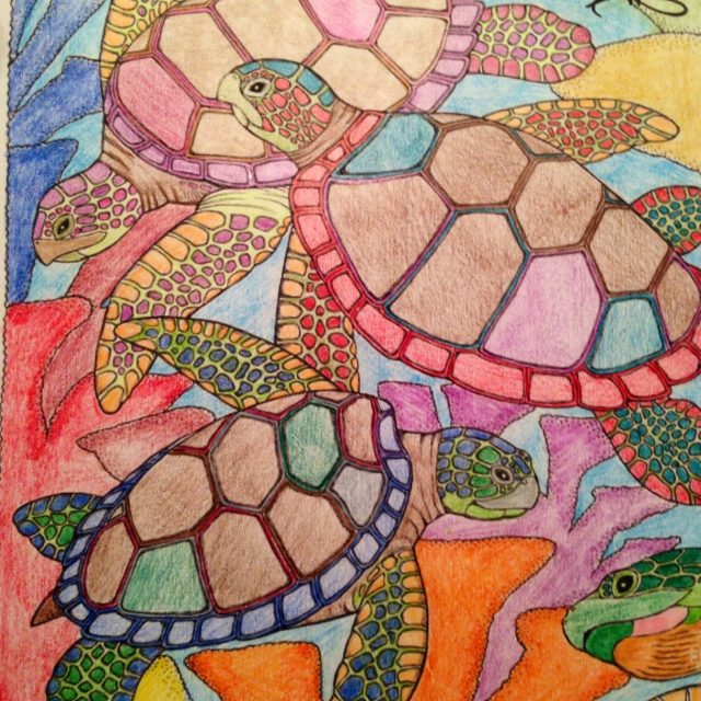 Sea Life In Vero