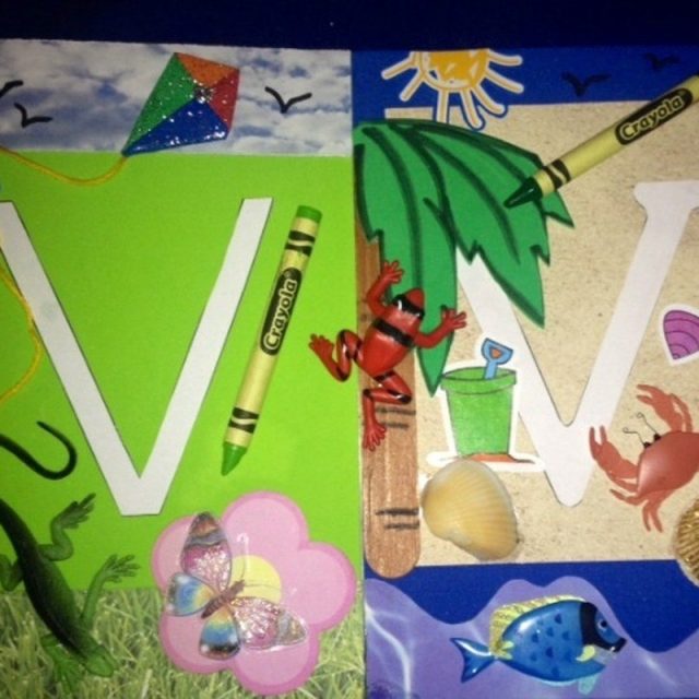 "VeroVine, Fun In The Sun"