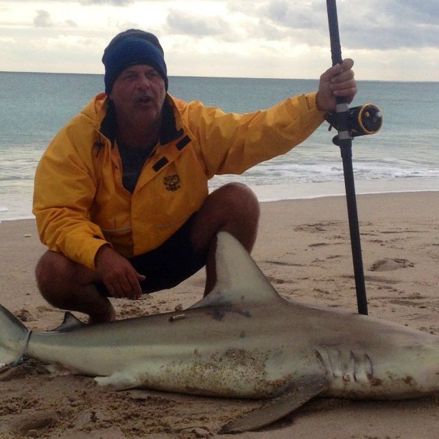 Black Tip Shark Vero Beach