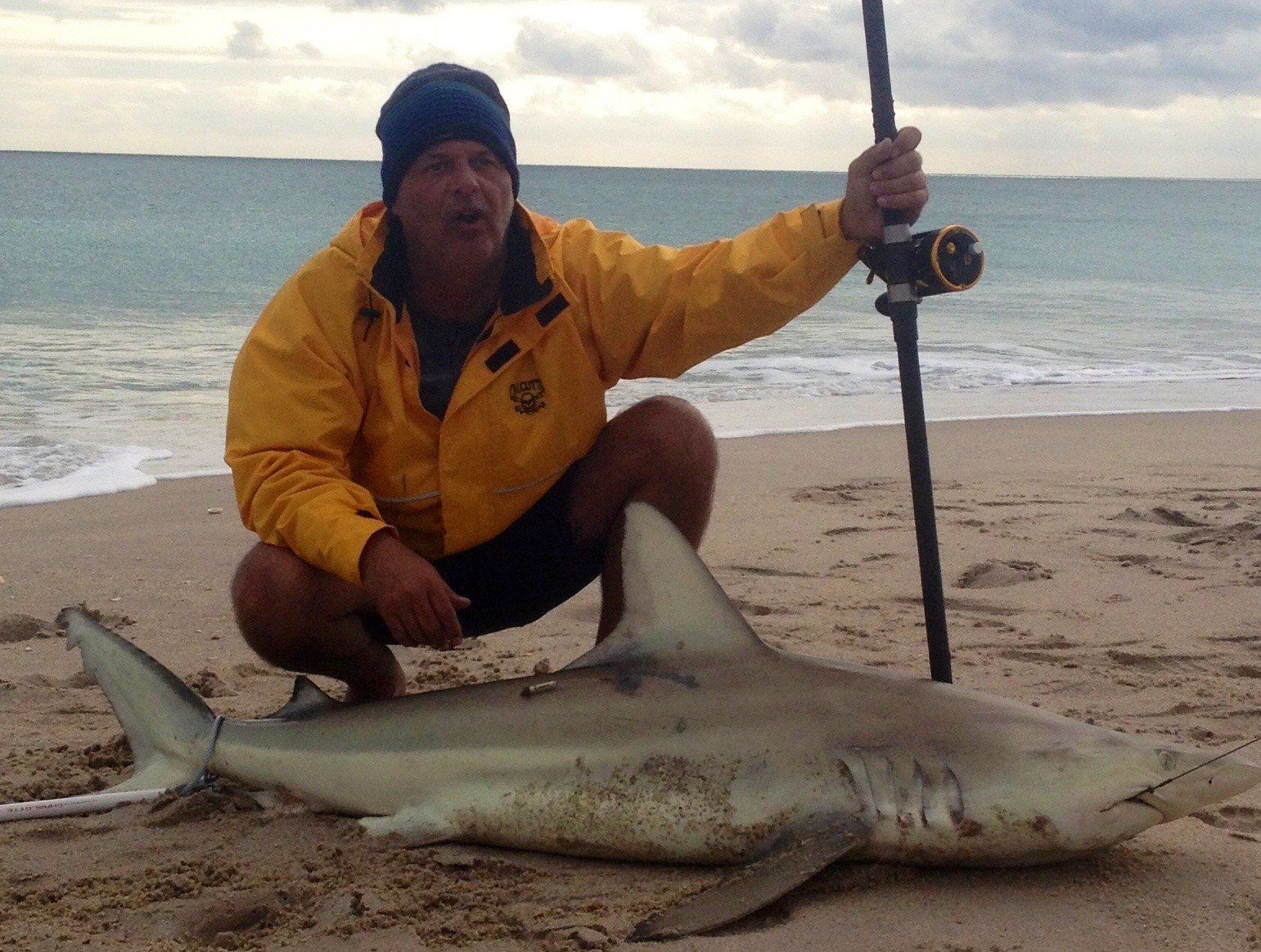 Black Tip Shark Vero Beach