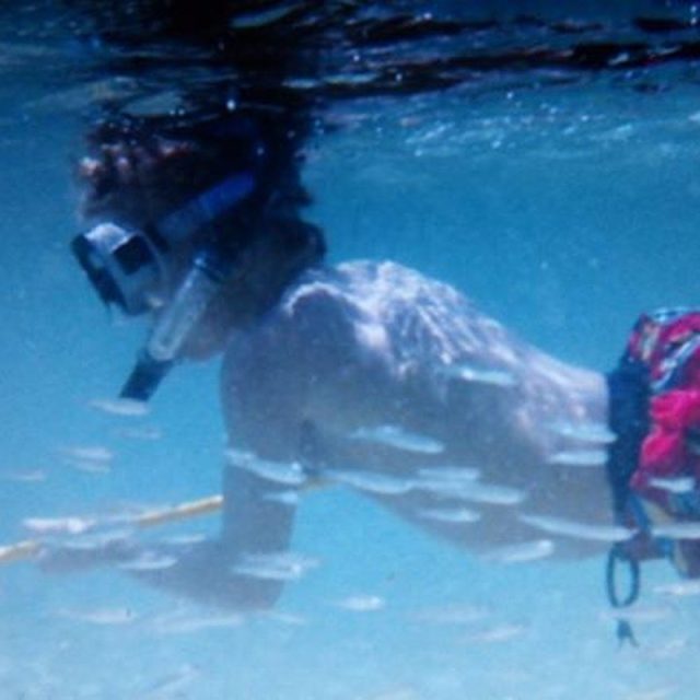 Spearfishing