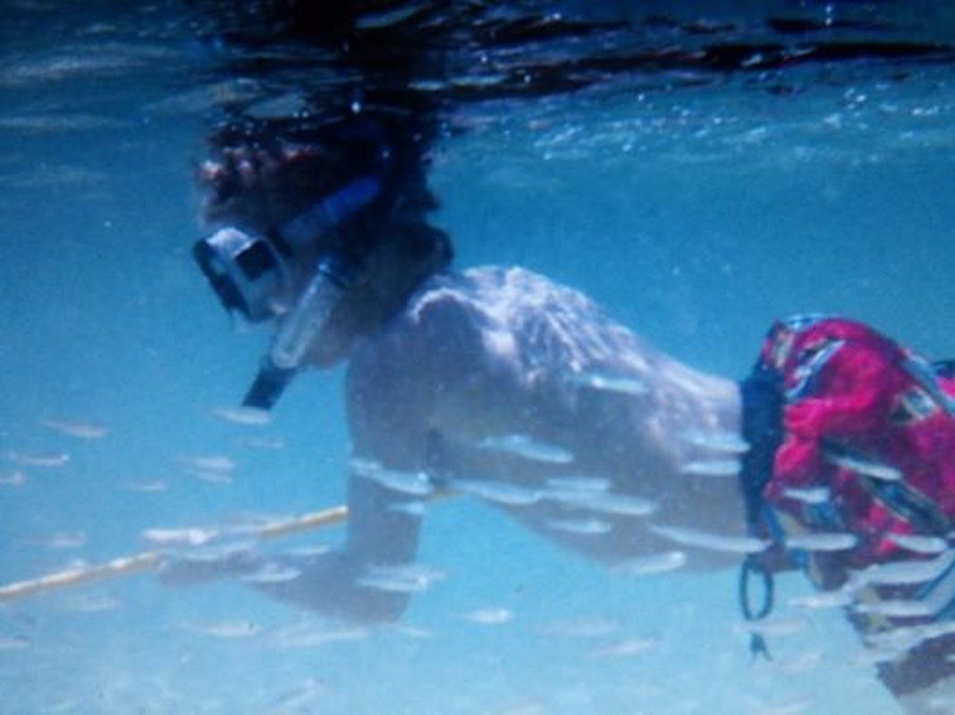 Spearfishing