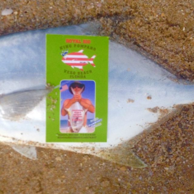 King Pompano Rigs Vero Beach