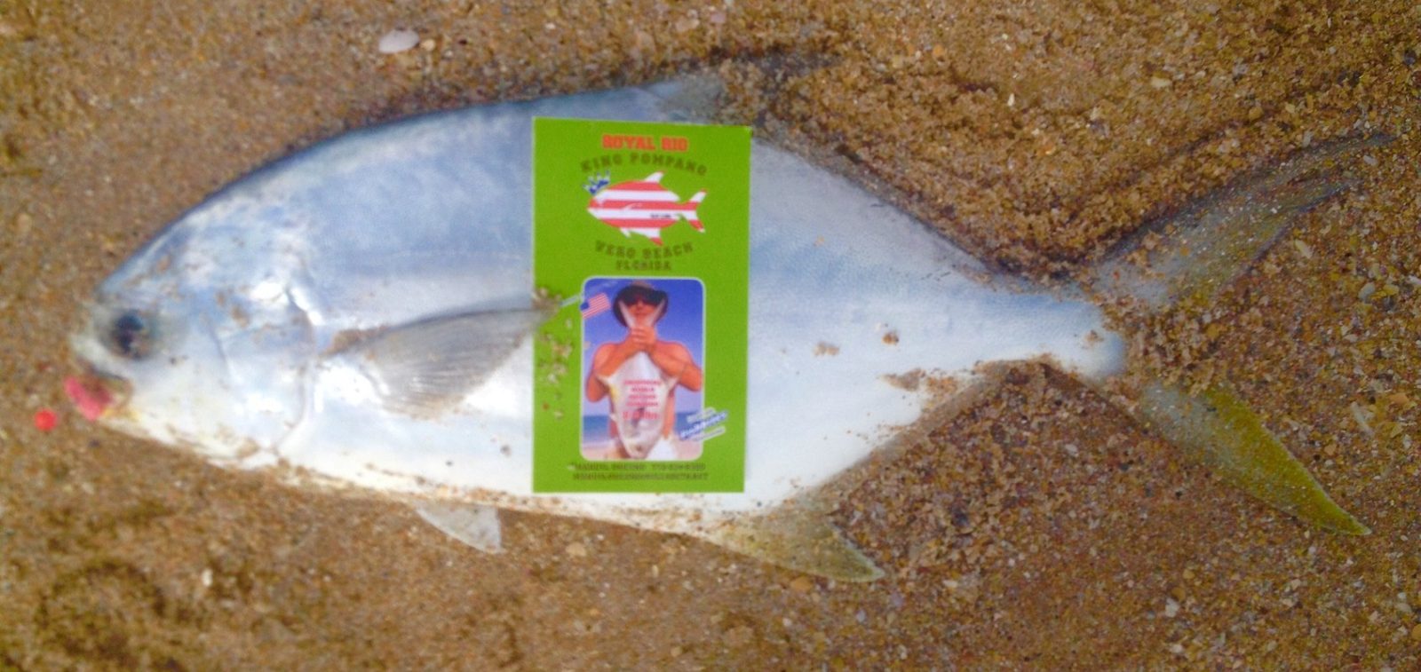 King Pompano Rigs Vero Beach
