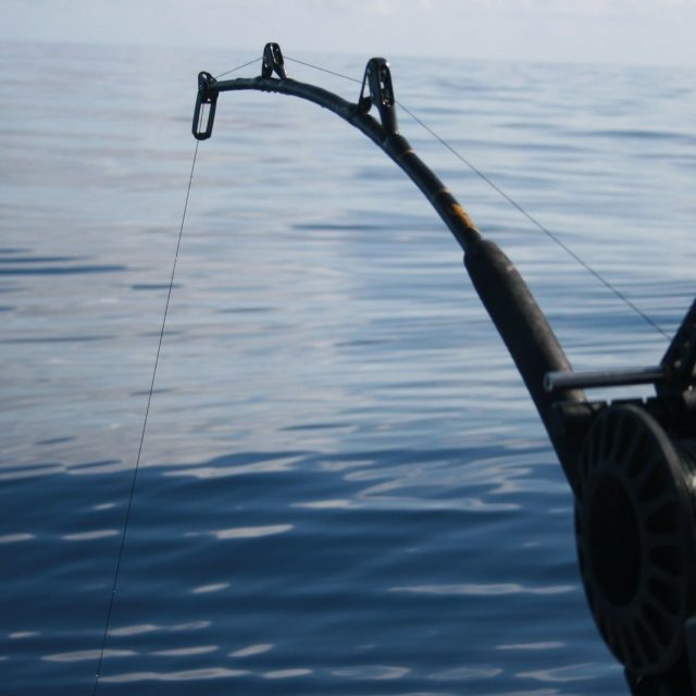 Fishing Deep