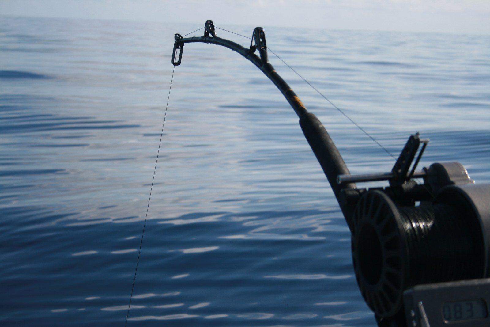 Fishing Deep