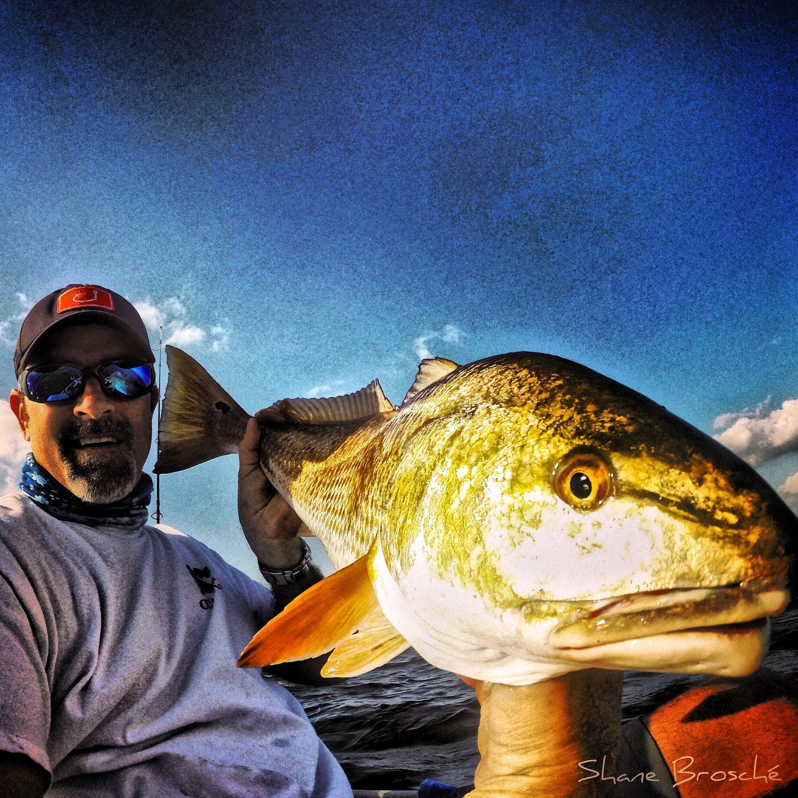 Catch And Release
