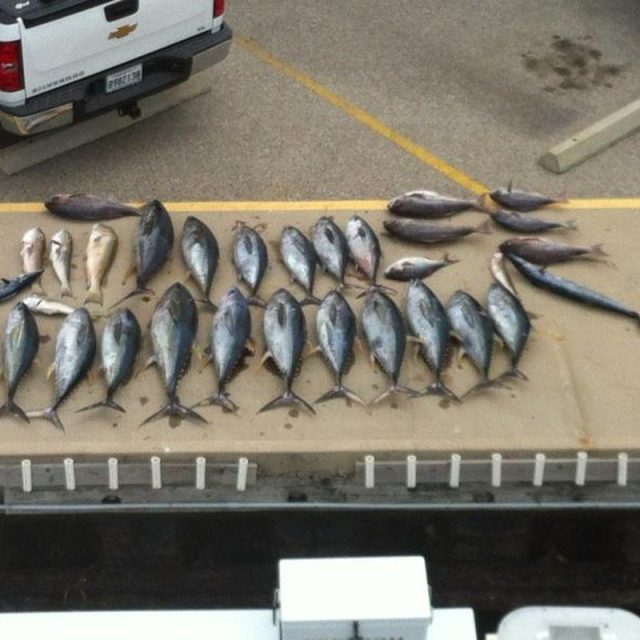 A Day Of Fun's Catch