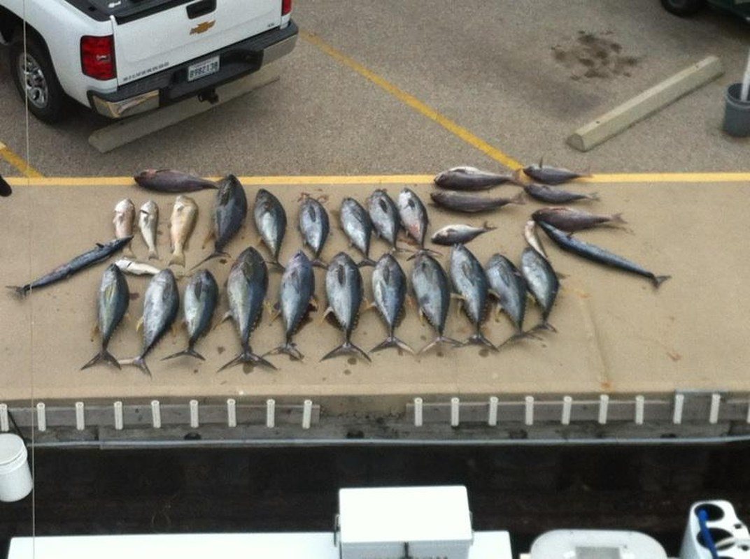 A Day Of Fun's Catch