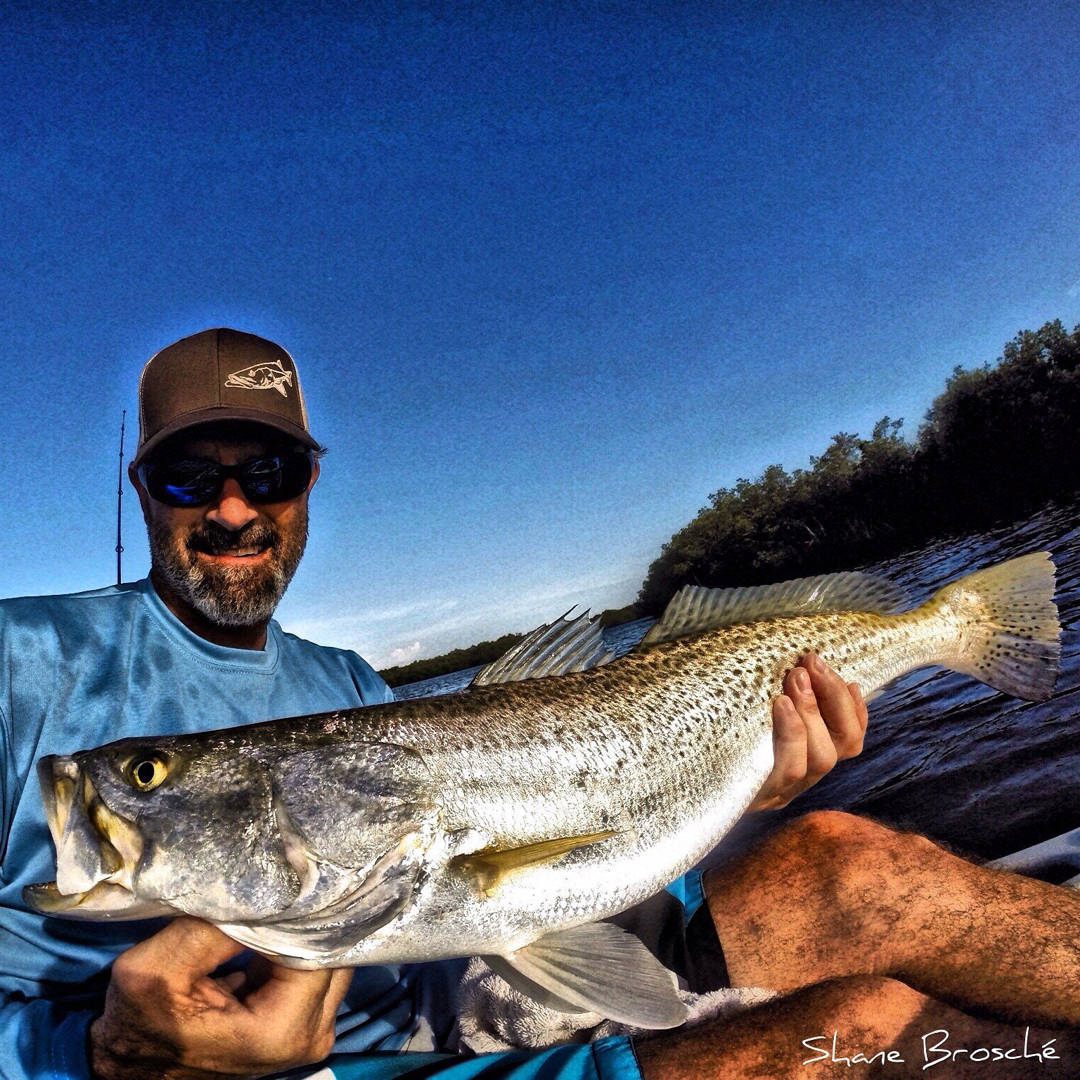 Gator Trout