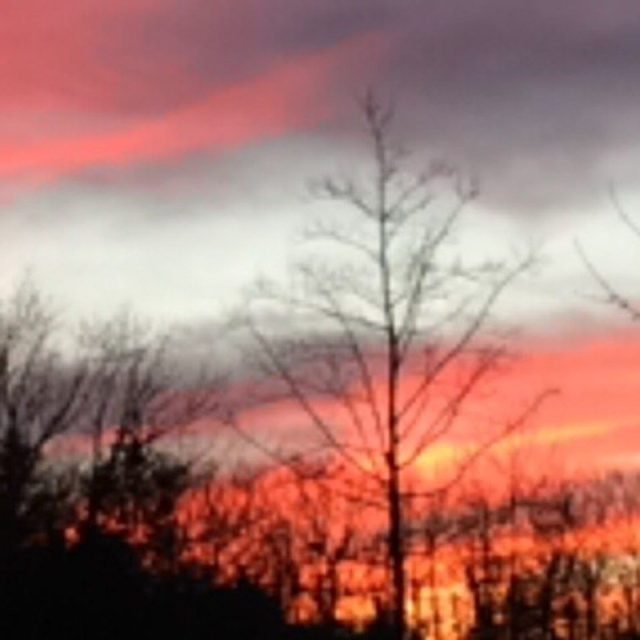 Best Catch : Sunset In NC