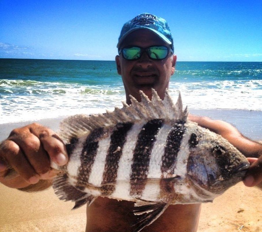 Sheepshead Vero Beach