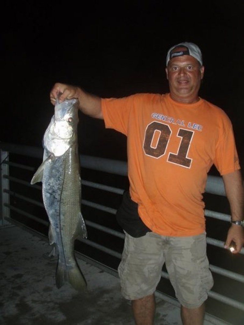 Snook Sebastian