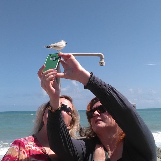 Let Me Help Take That Selfie