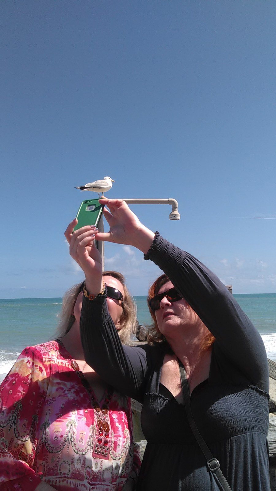 Let Me Help Take That Selfie