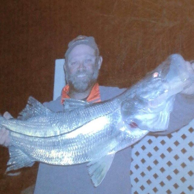 Sir Snook