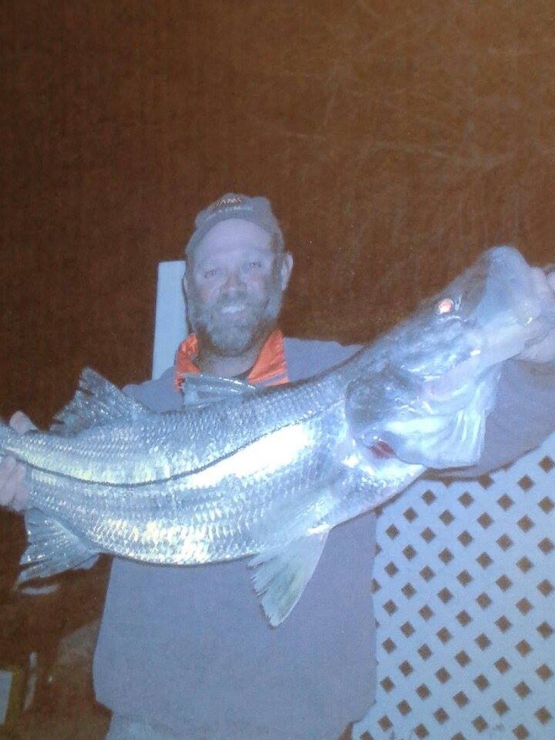 Sir Snook