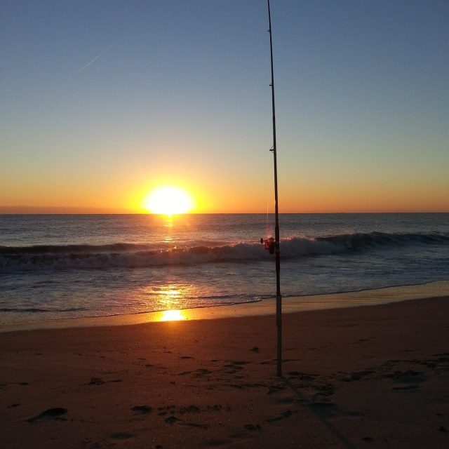 Lines N Sunrise