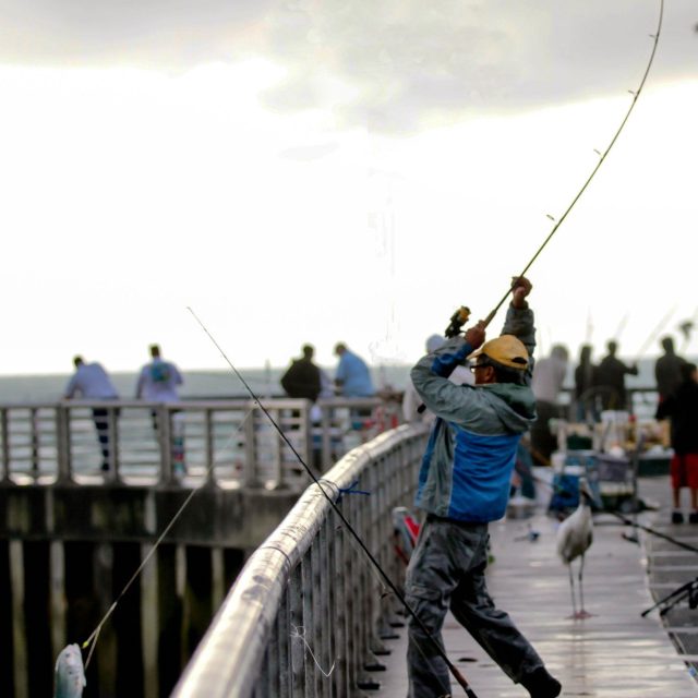 Big Catch In Action